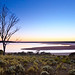 Dawn Johnston Photo 43