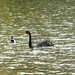 Peter Schwan Photo 27