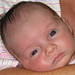 Debbie Groff Photo 26