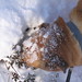 Rusty Bush Photo 11