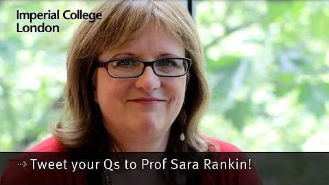 Sara Rankin Photo 34
