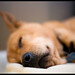Sammy Brown Photo 41