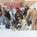 John Obermeyer Photo 15
