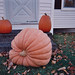Marlene Brown Photo 41