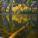 Wayne Pond Photo 13