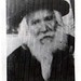 Moshe Shapiro Photo 13