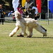 Robin Vasquez Photo 41