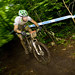Robin Seymour Photo 28