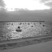Elaine Dunning Photo 19