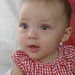 Timothy Tarrant Photo 22
