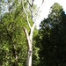 Robert Simko Photo 26