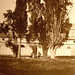 Maria Cipressi Photo 7