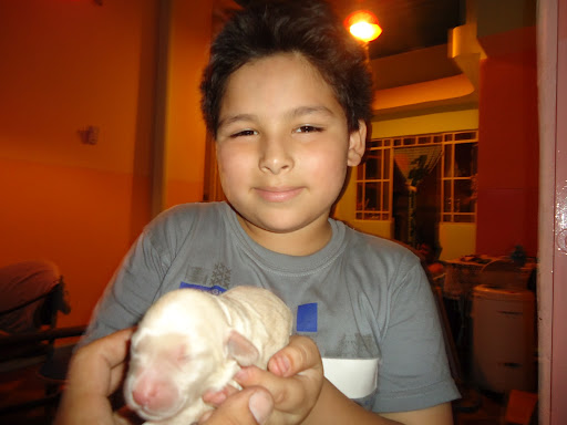Matthew Suarez Photo 16