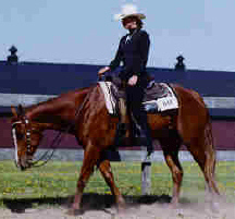 Debbie Fisher Photo 18