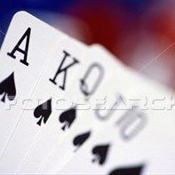 Michael Callis Photo 7