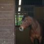 Stephen Jacques Photo 26