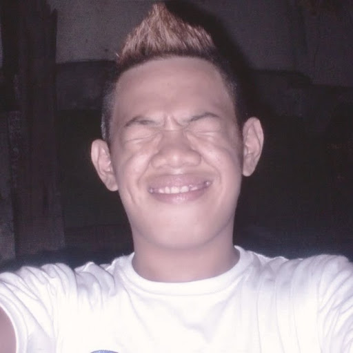 Roland Nicolas Photo 9