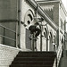 Steve Bailey Photo 42