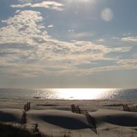Nancy Henninger Photo 1