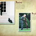 Buddy Bush Photo 20