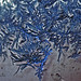 Andrea Frost Photo 42