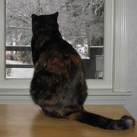 Amy Leiter Photo 1