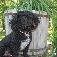 Rhonda Staggs Photo 4
