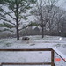 Betty Mcvey Photo 28