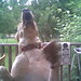 Krista Murphy Photo 43