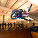 Brian Gavigan Photo 17
