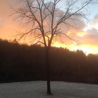 Sharon Rowe Photo 1