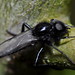 Mark Mowbray Photo 24