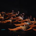 Stephanie Dance Photo 26