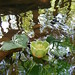 Betsy Wise Photo 28