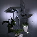 Belinda Chen Photo 27