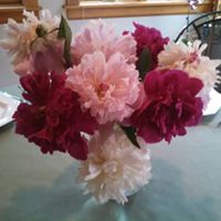 Barbara Butz Photo 4