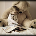 Teddy Bradshaw Photo 24