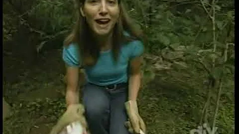 Kelly Givens Photo 26