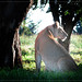 Richard Timmers Photo 16
