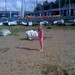 Becky Beach Photo 32