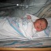 Timothy Donahue Photo 41