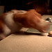 James Beagles Photo 10