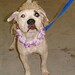 Juanita Foster Photo 38