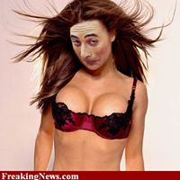 Andy Findlay Photo 1