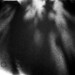 Trace White Photo 32