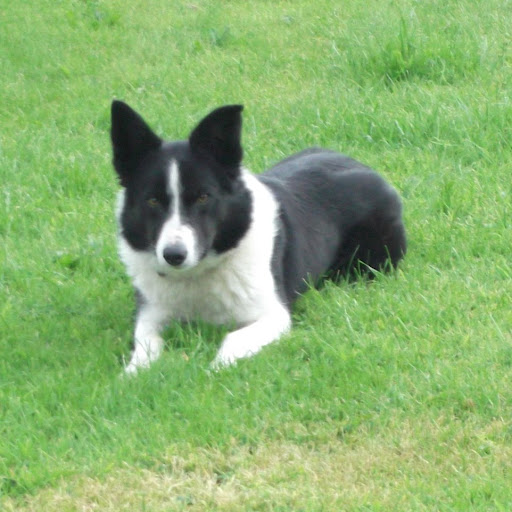 Helen Salter Photo 13