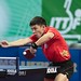 Qi Chen Photo 44