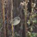 Isaac Walton Photo 39
