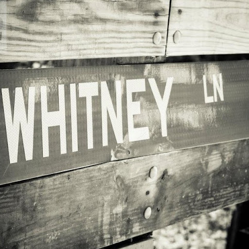Whitney Lane Photo 16