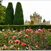 Rose Beech Photo 16